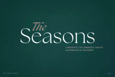 The Seasons Font free download – Serif Fonts font preview