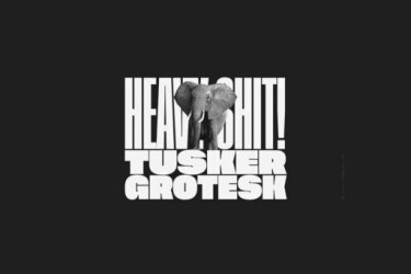 Tusker Grotesk Font Family free download – Editorial font preview
