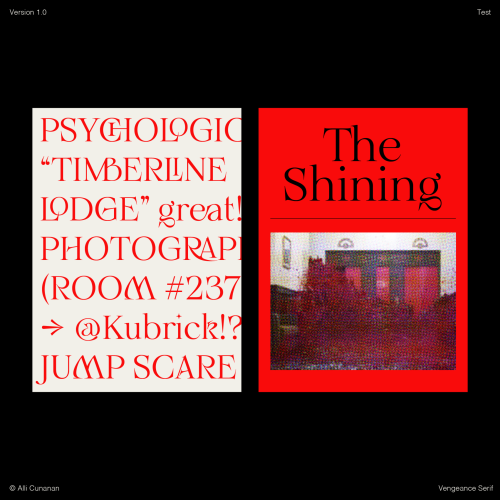 Vengeance Serif Font free download preview 5 – Serif Fonts font