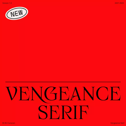 Vengeance Serif Font free download preview 10 – Serif Fonts font