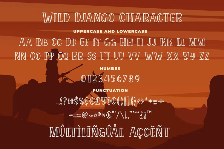 Wild Django Font free download preview 2 – Serif Fonts font