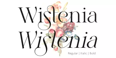 Wistenia Font free download – Headlines font preview