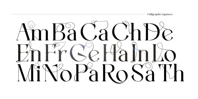 Zenoa Font Family free download preview 9 – Display Fonts font