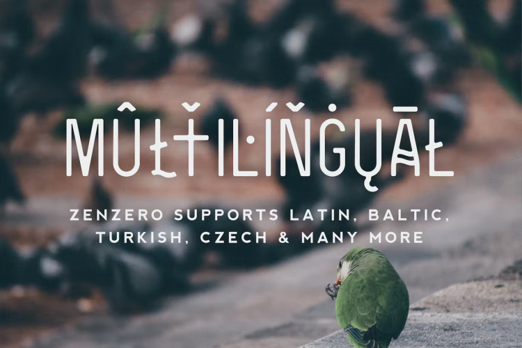 Zenzero Sans Font free download preview 1 – Serif Fonts font