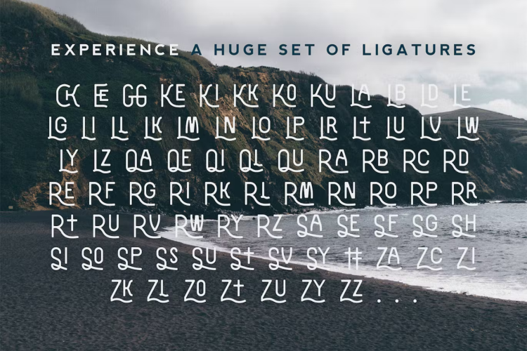 Zenzero Sans Font free download preview 2 – Serif Fonts font